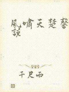 风啸天楚馨月小说