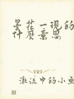 昙花一现的现是什么意思