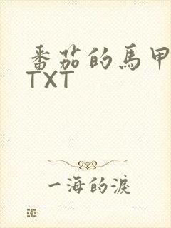 番茄的马甲小说TXT