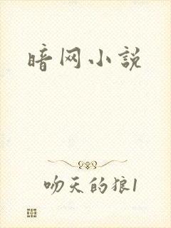 暗网小说