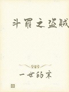 斗罗之盗贼