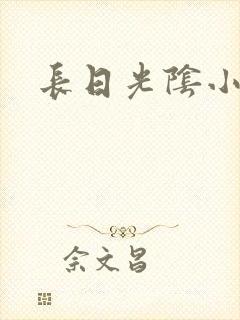 长日光阴小说