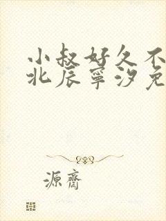 小叔好久不见顾北辰宁汐免费阅读