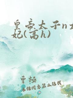 皇帝太子n太子妃(高h)