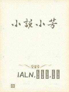小说小芳