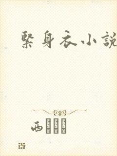 紧身衣小说