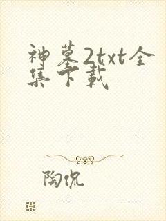 神墓2txt全集下载