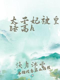 太子妃被皇上强睡高h