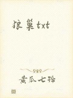 狼巢txt