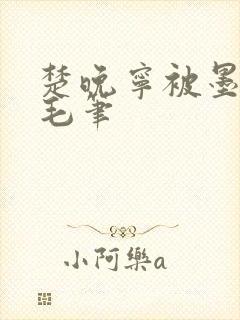 楚晚宁被墨燃塞毛笔