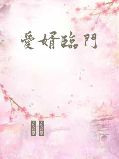 爱婿临门