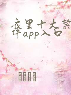 夜里十大禁用软件app入口