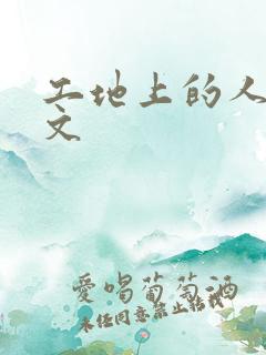 工地上的人妻H文