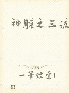 神雕之三流