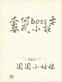 奈何boss要娶我小说