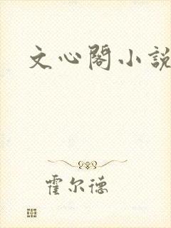 文心阁小说