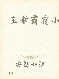 王爷霸宠小甜妻