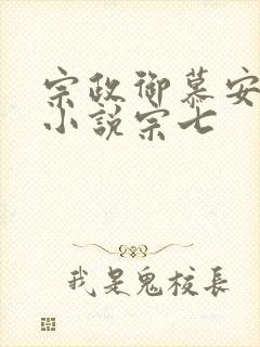 宗政御慕安安的小说宗七