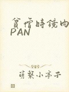 贫僧时镜肉补全PAN