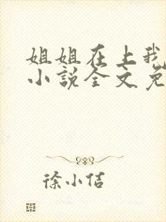 姐姐在上我在下小说全文免费阅读