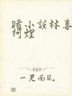 赌小说林喜朝和柯煜