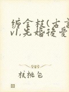 缠金枝(古言1v1,先婚后爱)