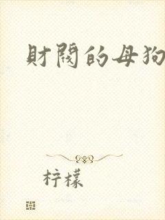 财阀的母狗们
