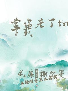当你老了txt下载