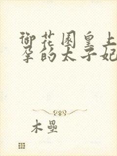 御花园皇上C有孕的太子妃