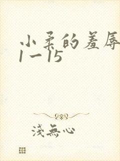 小柔的羞辱日记1一15