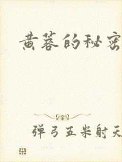 黄蓉的秘密