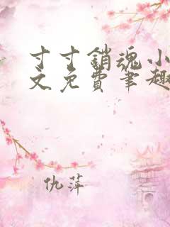 寸寸销魂小说全文免费笔趣阁