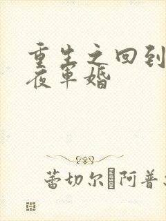 重生之回到新婚夜军婚