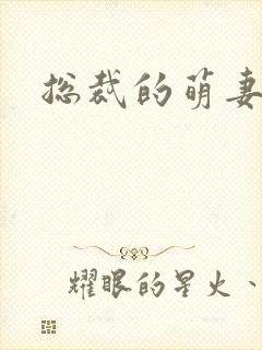 总裁的萌妻欢宝