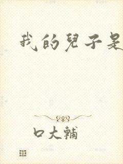 我的儿子是雍正