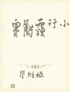 向风而行小说免费阅读