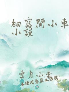 细写开小车车的小说