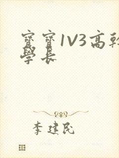 宝宝1V3高干学长