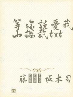 等你说爱我之冰山总裁txt