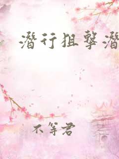 潜行狙击潜罪犯