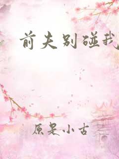 前夫别碰我