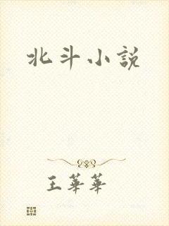 北斗小说