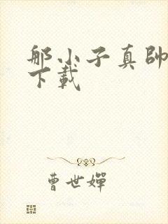 那小子真帅小说下载