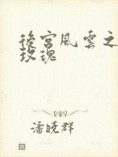 后宫风云之铿锵玫瑰