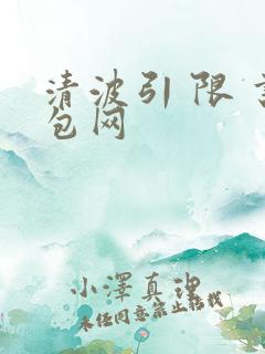 清波引 限 书包网
