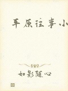 平原往事小说