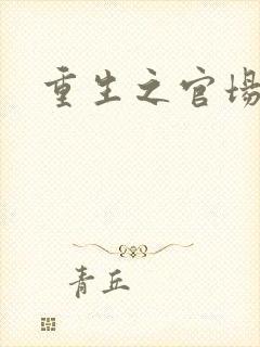 重生之官场风流