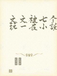 文文被七个男人玩一夜小说