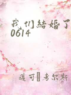 我们结婚了130614