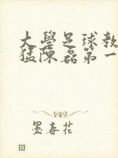 大学足球教练王猛陈磊第一篇